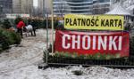 Ruszył sezon na choinki i karpie. Tyle w tym roku kosztuje świąteczna tradycja