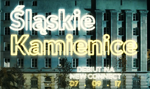 Śląskie Kamienice debiutują na NewConnect