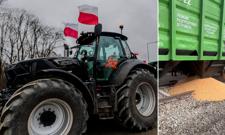 Protestujący rolnicy wysypują ukraińskie zboże. Władze już zawiadomiły KE