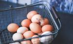 Producenci: na Wielkanoc jaj będzie mniej i będą droższe
