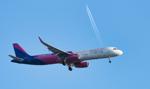Tanie linie, a co z Wi-Fi? Wizz Air przestrzeli z internetem wbrew woli Elona Muska