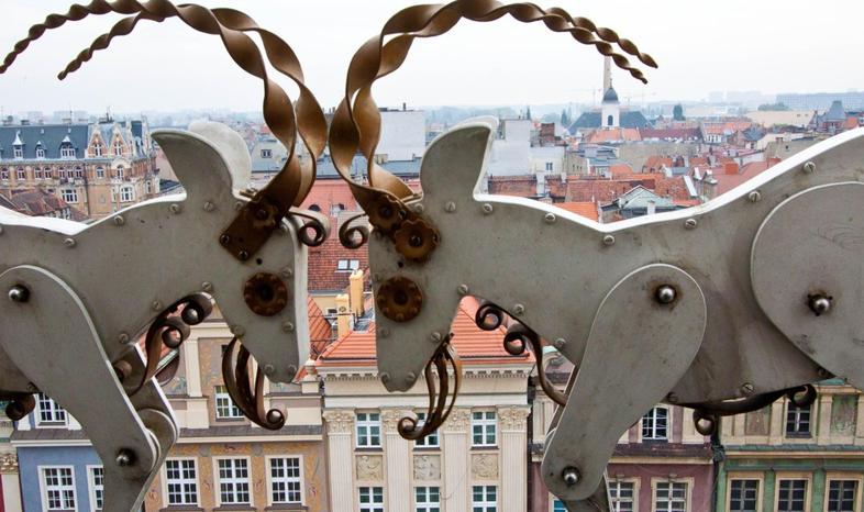 Wielkopolskie: gospodarność nie tylko przysłowiowa
