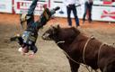 PiS urządziło w spółkach rodeo. Przetrwał tylko jeden prezes
