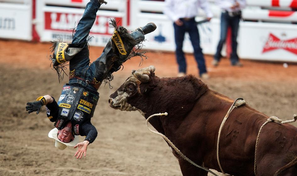 Tydzień kulawego byka, czyli GPW dwóch prędkości