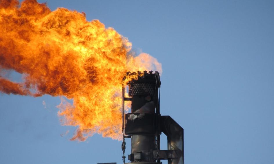 Ceny ropy w USA powyżej 50 USD za baryłkę - OPEC chce rozmawiać z Irakiem