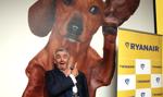 "Liczę, że ceny wzrosną, a inni upadną". Ryanair widzi szansę w drogim paliwie
