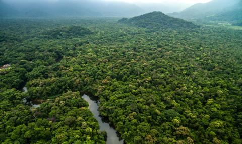 Kolumbia zapowiada kontrofensywę przeciwko mafiom pustoszącym Amazonię