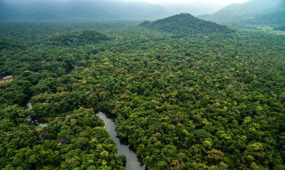 Prezydenci Brazylii i Francji zapowiedzieli miliard euro dla Amazonii