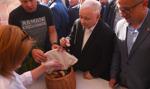 800+ zamiast 500+ - będzie podwyżka świadczenia? Sprawdzona kiełbasa wyborcza wraca do gry