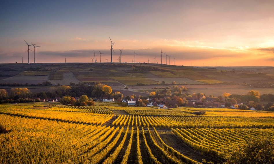 Potencjał lądowej energetyki wiatrowej w Polsce do 2040 r. to 41 GW mocy