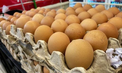 Brazylijskie i tajskie jaja podbiją Polskę? Przetwórnie kuszone niskimi cenami surowca