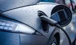 Pozorne odbicie na rynku elektryków. Za wzrostem stoją dwa modele