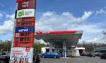 Ceny paliw drgnęły w dół. Autogaz najtańszy od przedwojny