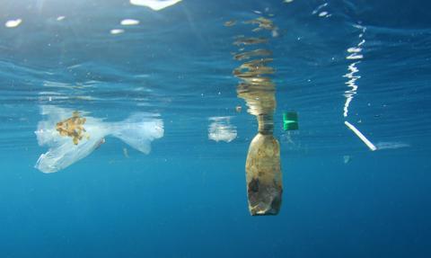 Niebawem zniknie problem plastiku w oceanach? Pomóc mogą bakterie