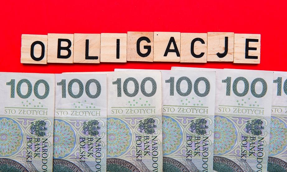 Detaliczne obligacje skarbowe – jak wybrać?