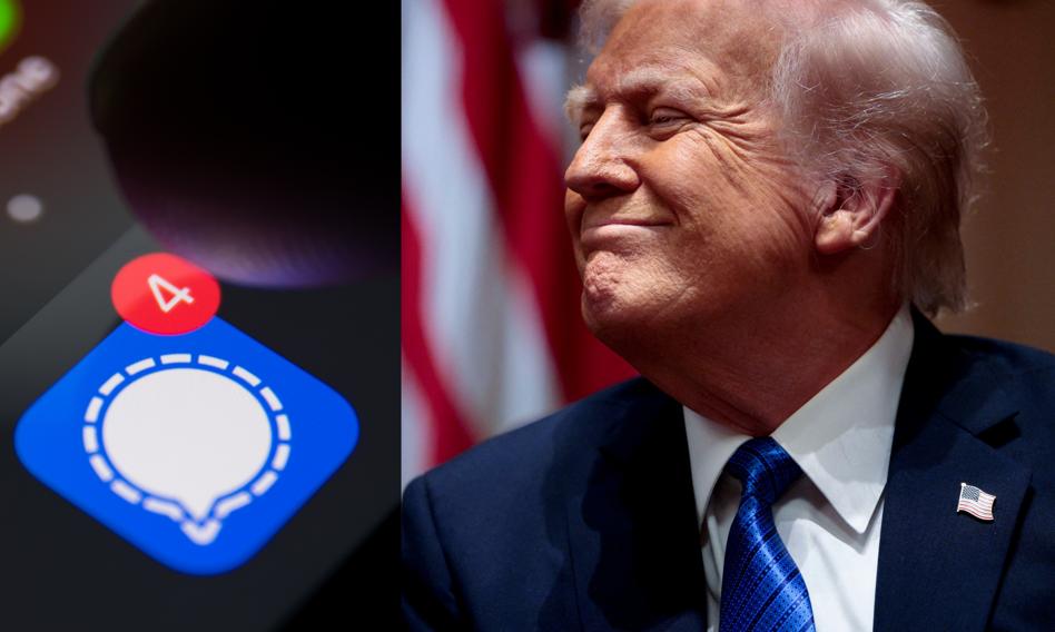 Błyskawiczna kariera Signala. Na tym komunikatorze omawiano tajne plany USA
