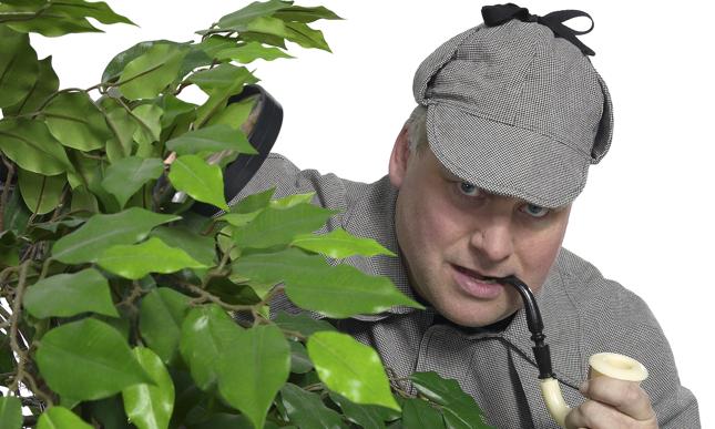 Niemcy: pracodawcy korzystają z usług detektywów, aby kontrolować pracowników