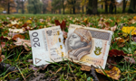 Nowy rekord bankructw konsumentów. Upadają i dzieci, i seniorzy