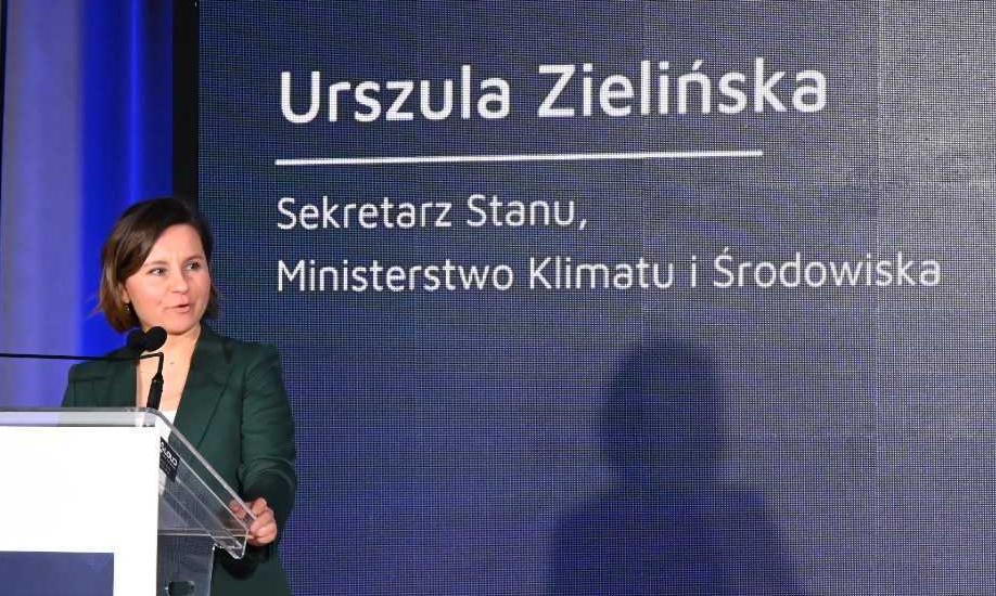 Atom opóźniony o rok. Wiceminister tłumaczy dlaczego